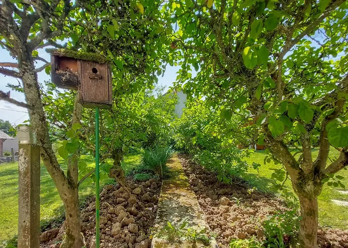 Casa vacanze Pet Friendly In Touffreville Touffreville (Eure)